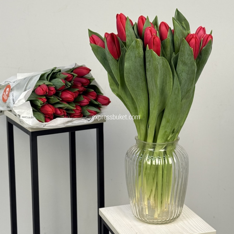 Тюльпаны красные, 25 шт